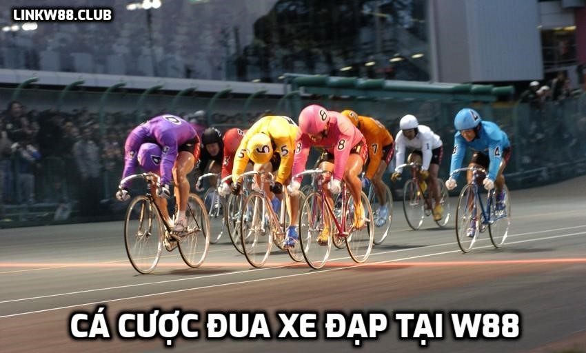 cá cược đua xe đạp tại W88