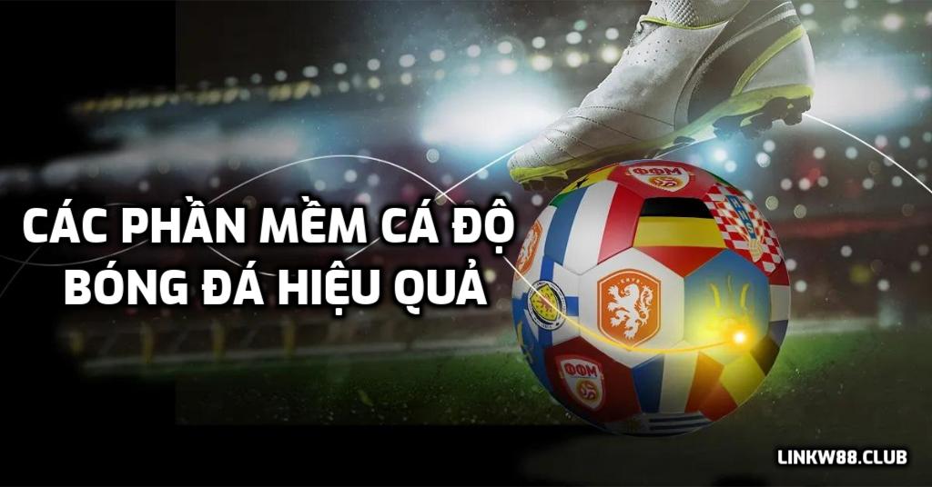 Tiết lộ các phần mềm cá độ bóng đá hiệu quả