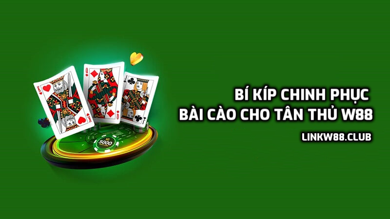 Bí kíp chinh phục bài cào cho tân thủ W88