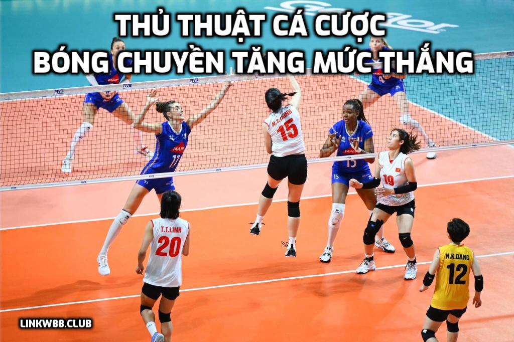 Những thủ thuật cá cược bóng chuyền tăng mức thắng cao