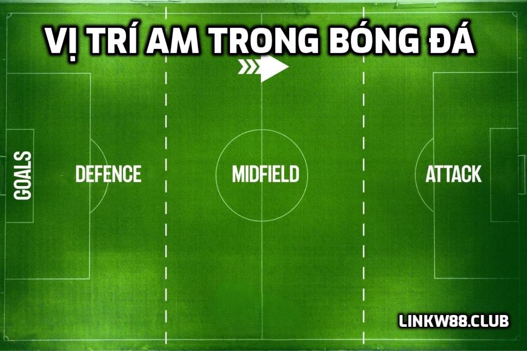 Vị trí AM trong bóng đá